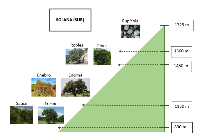 Cliserie del paisaje.( Elaborada con word). 